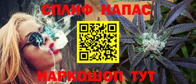 спиды Гусев